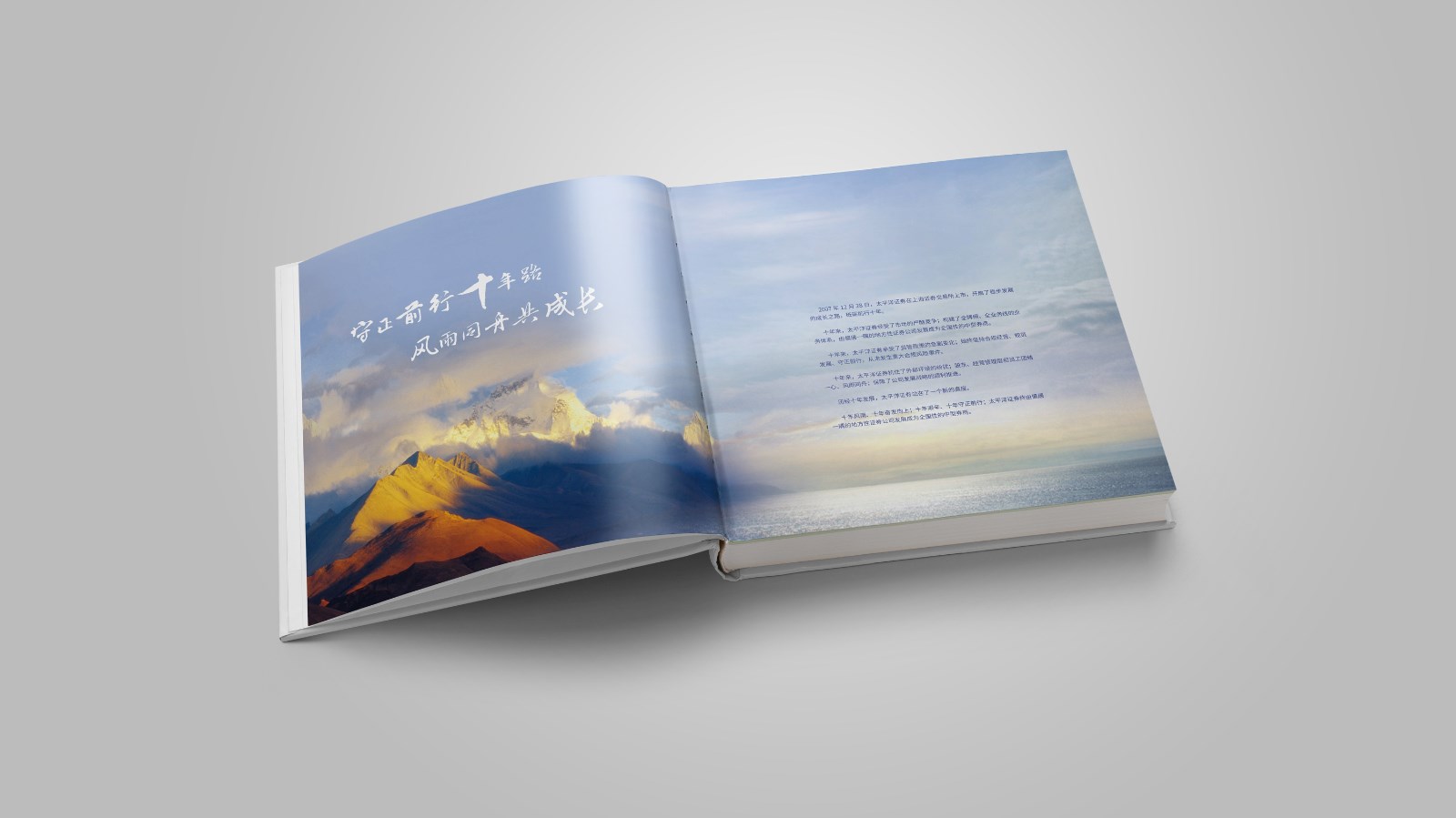 太平洋证券周年宣传画册设计制作